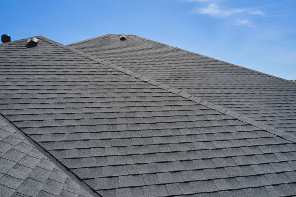 Siding in South Shore, KY